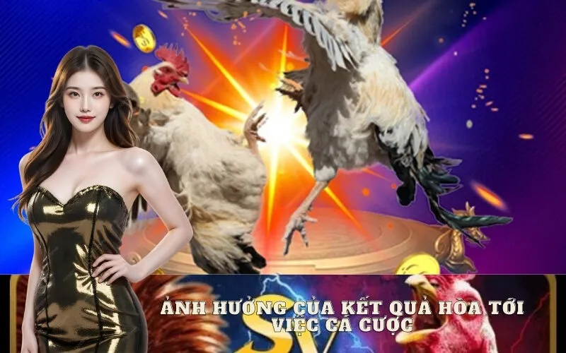 Ảnh Hưởng Của Kết Quả Hòa Tới Việc Cá Cược