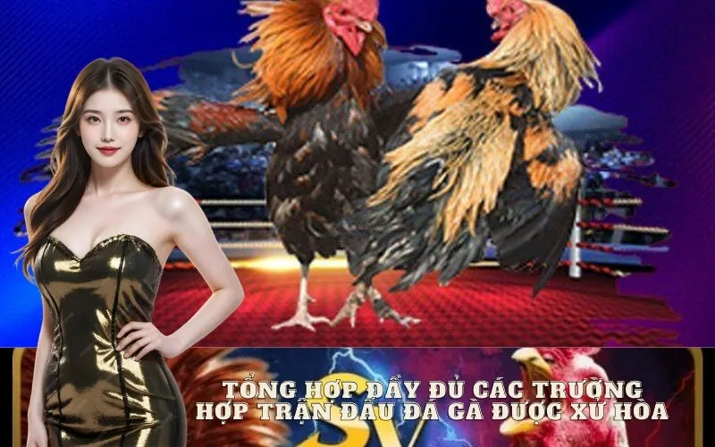 Tổng Hợp Đầy Đủ Các Trường Hợp Trận Đấu Đá Gà Được Xử Hòa